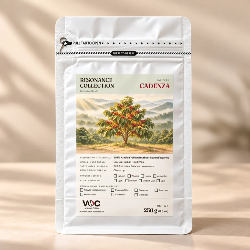 Cadenza – Arabica Yellow Bourbon